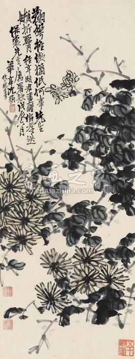 经亨颐菊花镜片设色纸本字画之家