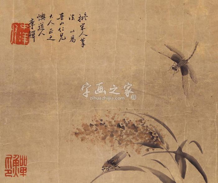 李鱓花卉草虫镜片纸本字画之家