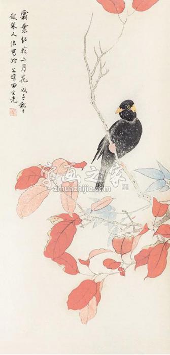 田世光花鸟立轴纸本字画之家