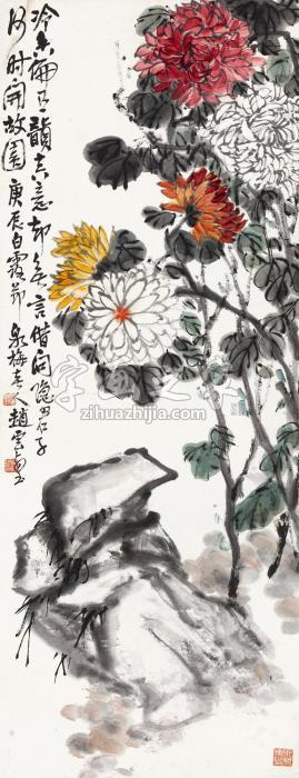 赵云壑庚辰（1940）年作菊石图立轴设色纸本字画之家