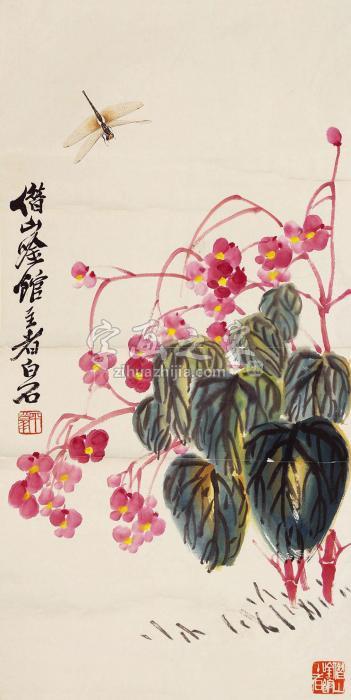 齐白石花卉蜻蜓立轴纸本字画之家