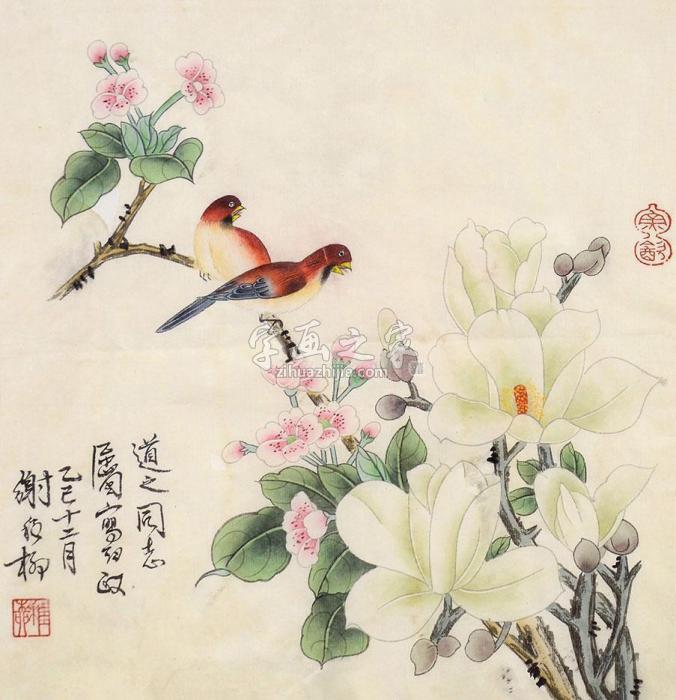 谢稚柳花鸟镜框设色纸本字画之家