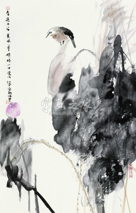 宋朝花鸟镜心（片）设色纸本字画之家