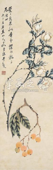 武曾保枇杷栀子立轴设色纸本字画之家