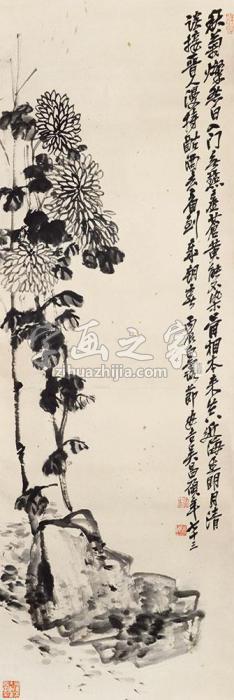 吴昌硕菊石图立轴纸本字画之家