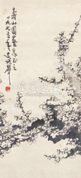 支振节梅花立轴纸本字画之家