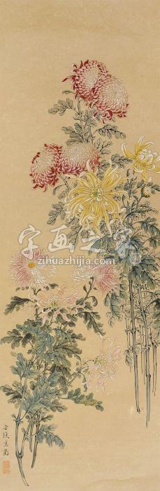 缪谷瑛菊花立轴纸本字画之家