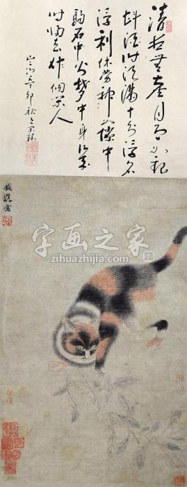 钱选猫趣图立轴设色纸本字画之家