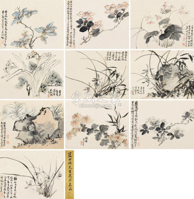 蓝瑛蓝田叔先生花卉真品册页（十开）设色纸本字画之家