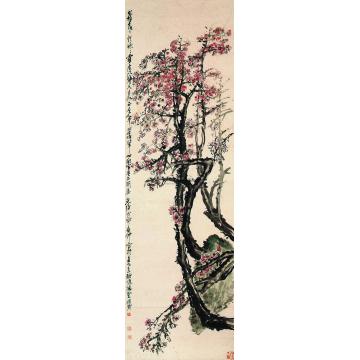 吴昌硕1908年作梅花立轴字画之家