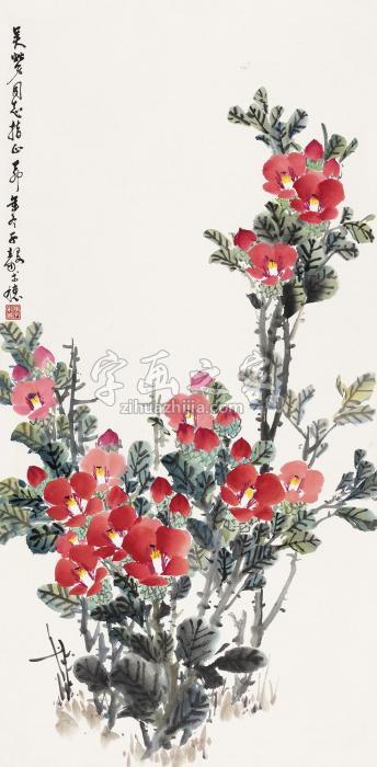 陈子毅茶花镜片设色纸本字画之家