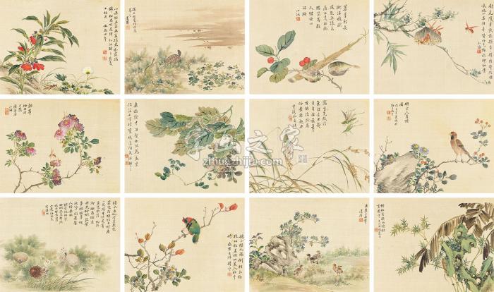 翁小海花卉草虫册（12帧）镜心绢本字画之家