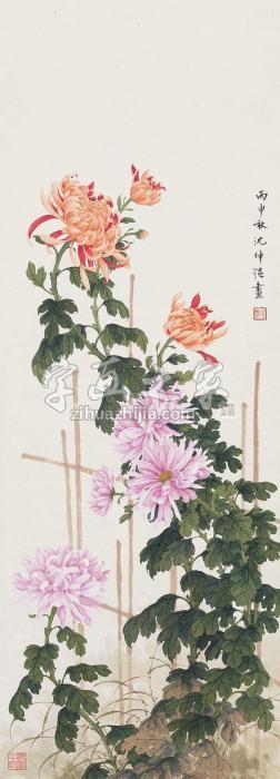 沈仲强菊花立轴设色纸本字画之家