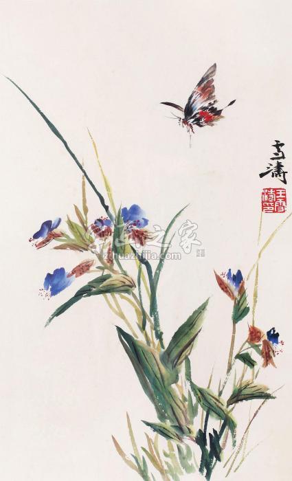 王雪涛花开蝶舞镜心纸本设色字画之家