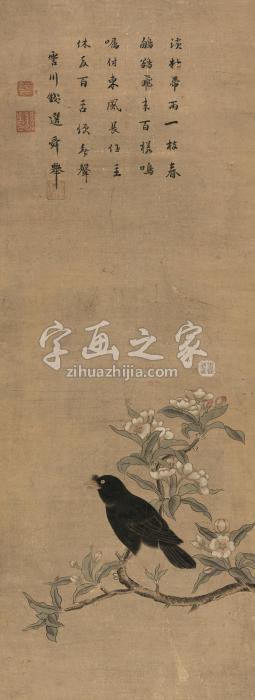 钱选（款）桃花八哥立轴纸本字画之家