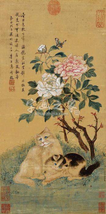 赵昌双猫立轴绢本字画之家