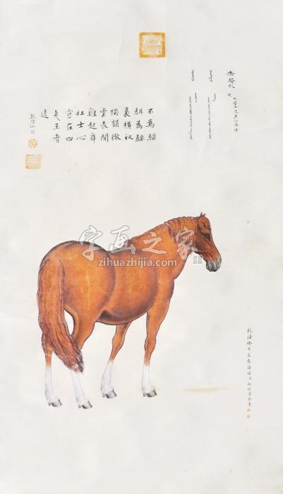 郎世宁清马字画之家