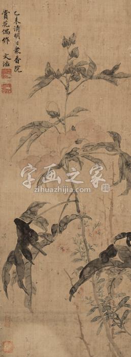 王文治（款）乙未（1775年）作荆棘丛卉镜心绢本字画之家