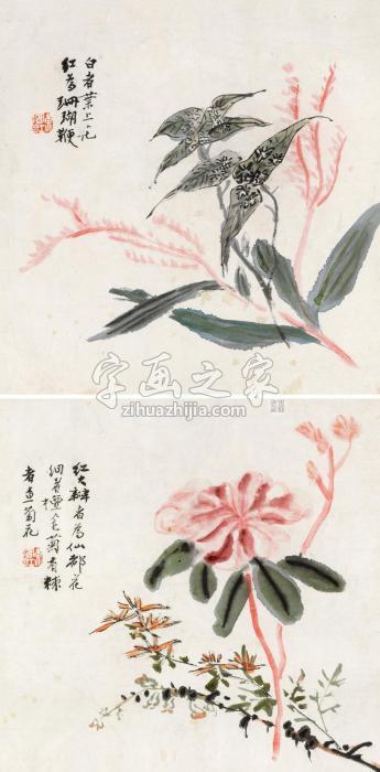 黄宾虹花卉（两帧）镜片设色纸本字画之家