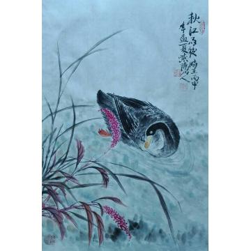 江本纯国画花鸟秋江雨后字画之家